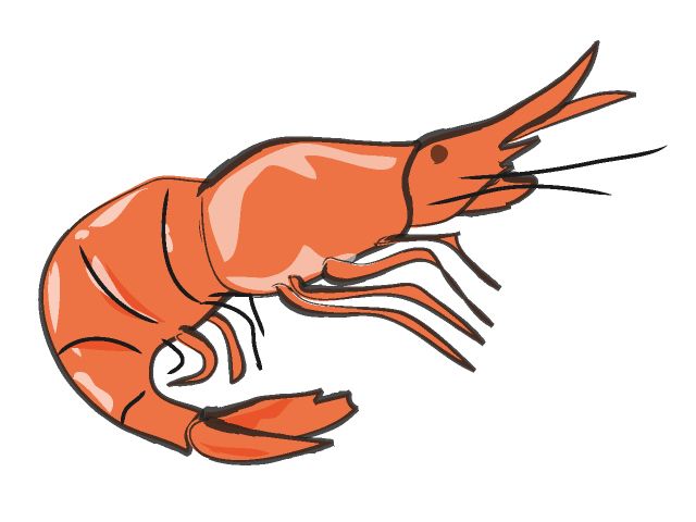 Lobsters Clipart
