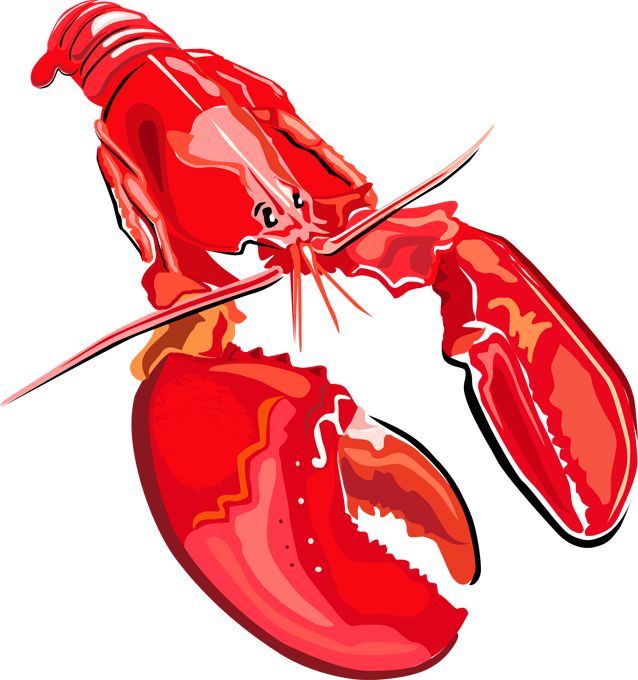 638x680 Image Gallery Of Lobster Tail Clipart