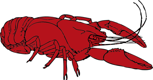 500x263 Red Crayfish Vector Clip Art Public Domain Vectors