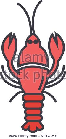 223x470 Squid Icon Logo Element. Flat Style, Isolated On White Background