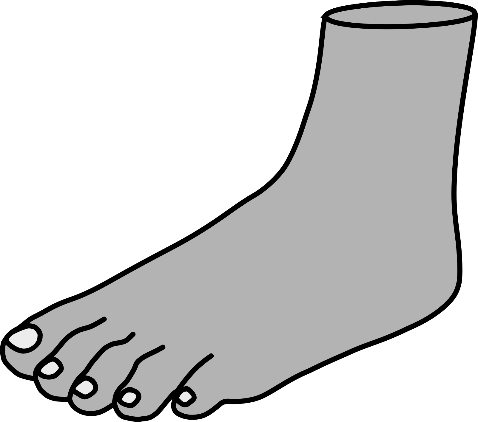1602x1416 Clipart Foot