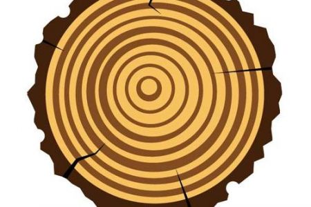 450x300 Log Clip Art Wood