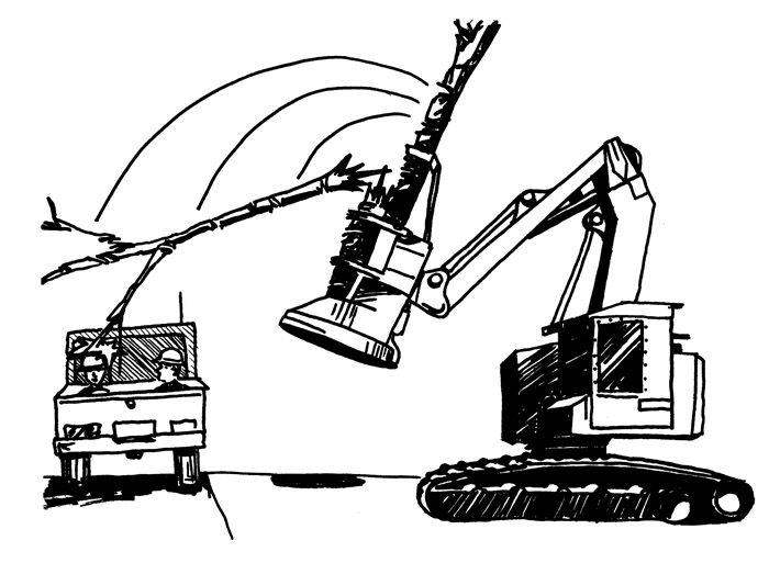 700x513 June 2000 Southern Loggin' Times