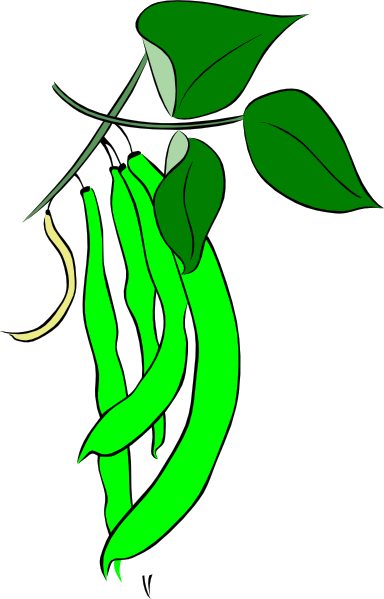 384x599 Clip Art Green Beans Clipart