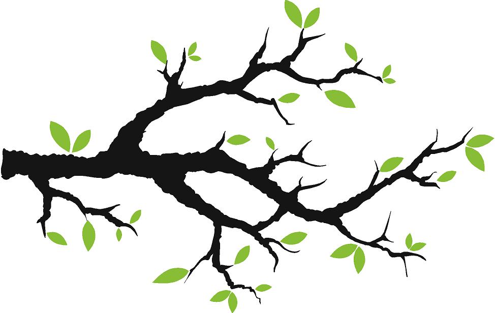 974x616 Long Clipart Tree Branch
