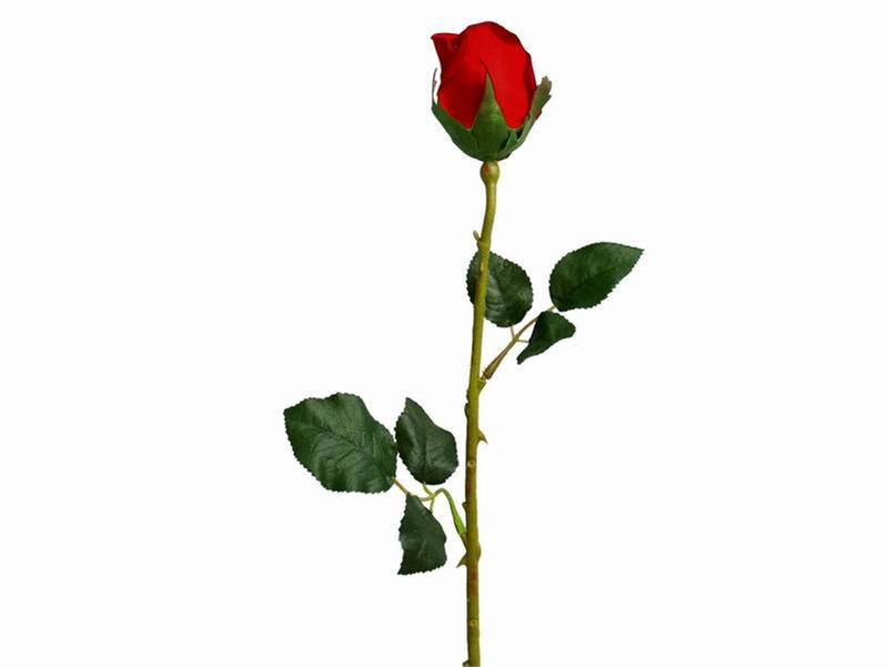 800x601 Red Rose Clipart Long Stem