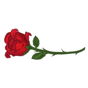 300x300 Rose Clipart Long Stem Rose
