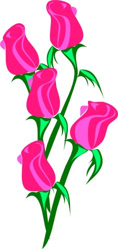 236x496 Beautiful Single Roses Rose Stock Vector