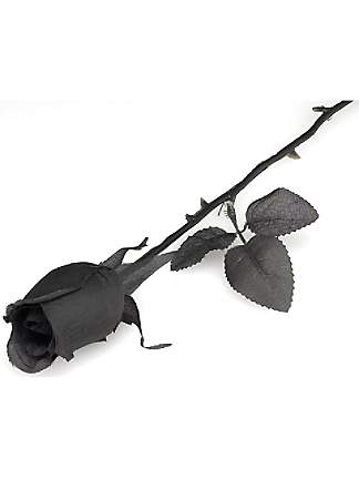 324x432 Long Stem Rose Tattoo