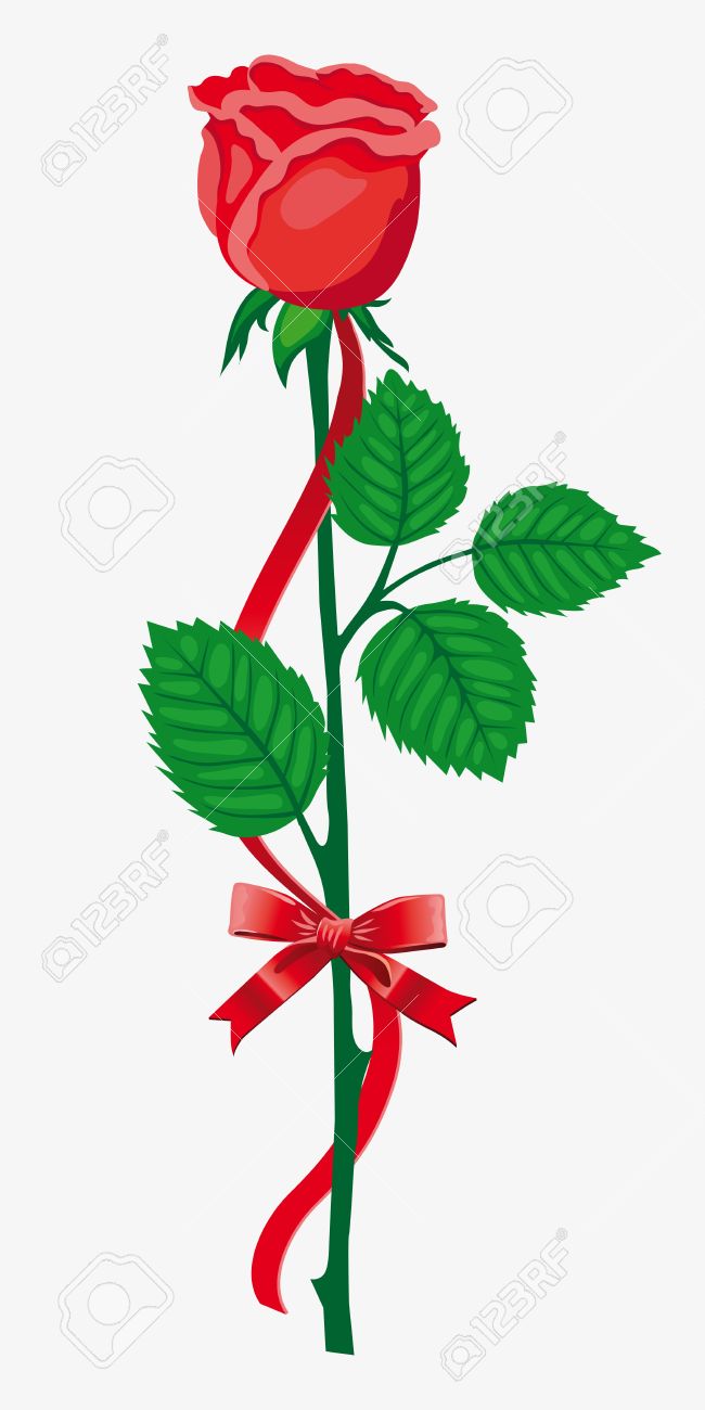 650x1300 Red Rose Clipart Long Stem