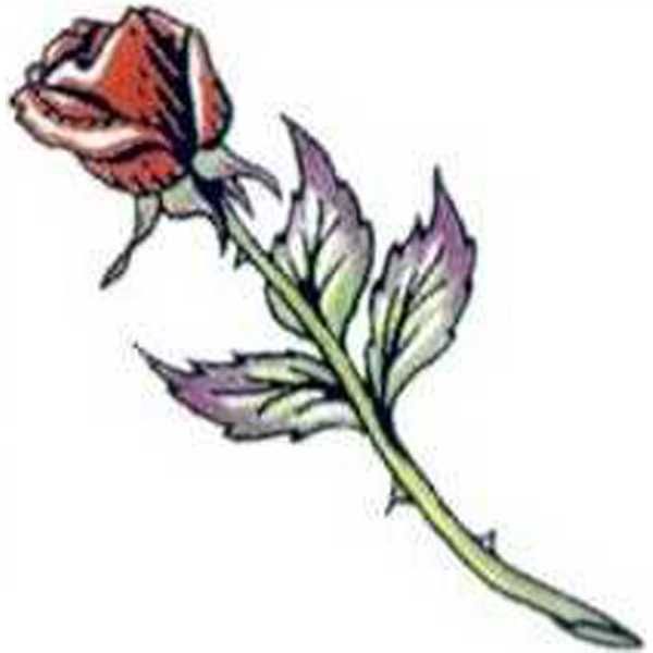 600x600 34 Best Purple Long Stem Rose Tattoo Images Design