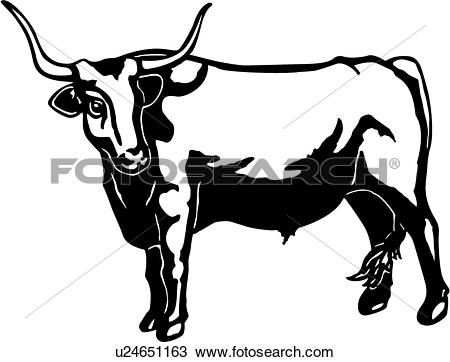 450x362 Longhorn Cattle Clipart Drawing