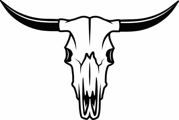600x401 Bull Skull