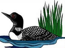 270x199 Free Common Loon Clipart
