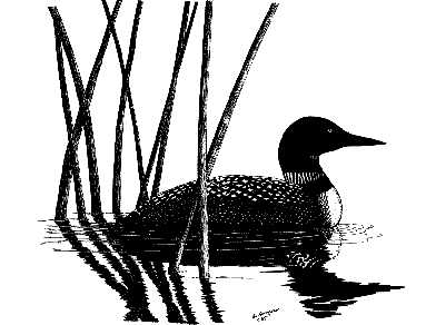 392x292 Loon Silhouette Clipart