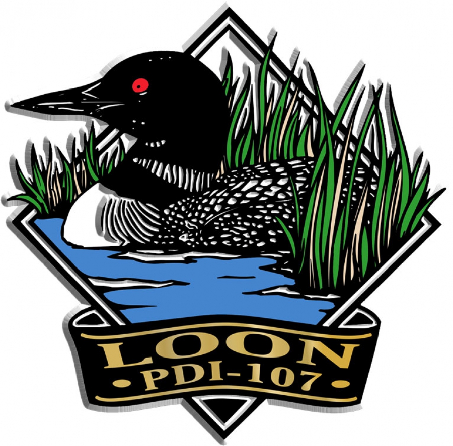 900x887 Name Drop Magnet Loon