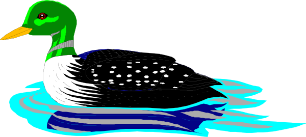 600x269 Swimming Loon Clip Art