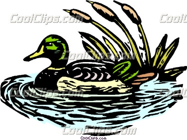 375x282 Top 95 Mallard Clip Art