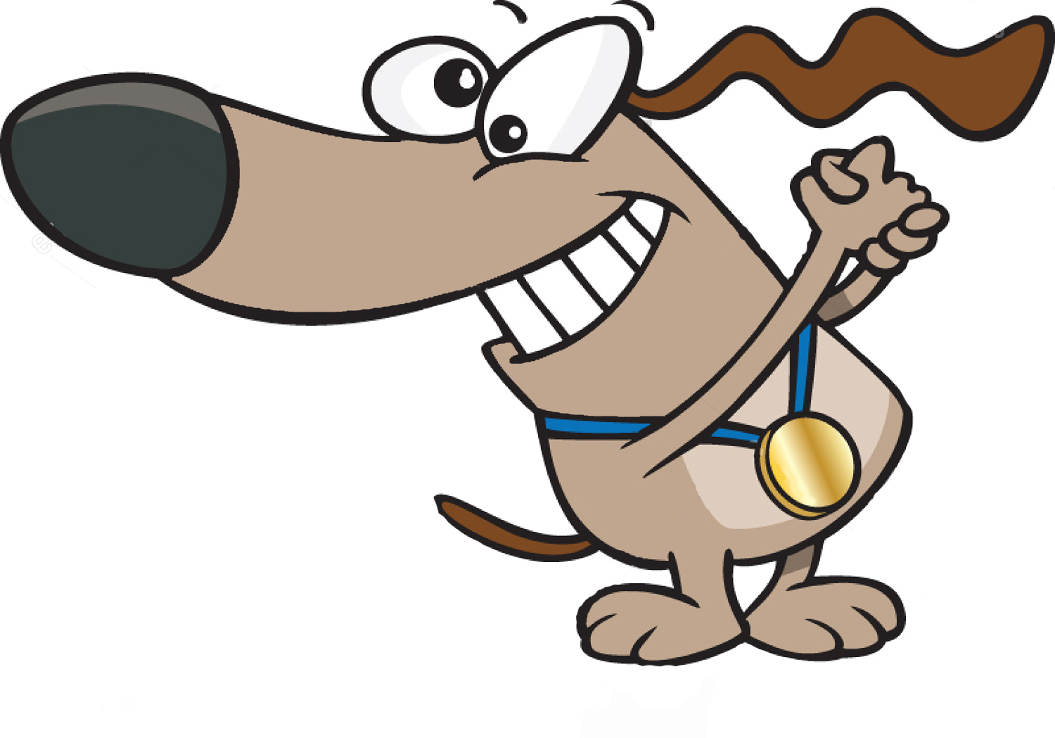 1500x1049 Dogs Aid Animal Sanctuary Info@dogsaid.ie