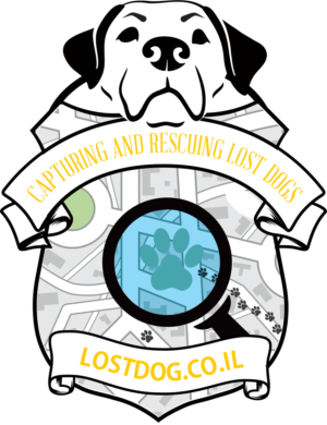 300x390 51 Professional Bold Pet Logo Designs For Lostdog.co.il There