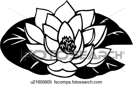 450x287 Clipart Of , Buddhism, Flower, Lotus, Varieties, U21605605