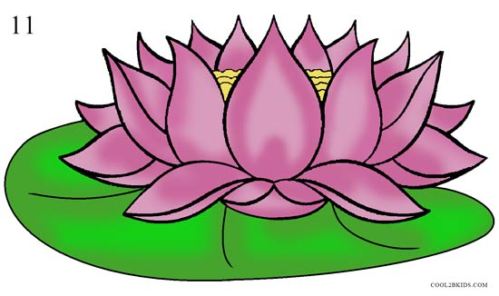 550x326 Drawn Lotus Clip Art
