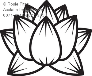 300x248 Outline Of Lotus Flower Clipart Amp Stock Photography Acclaim Images