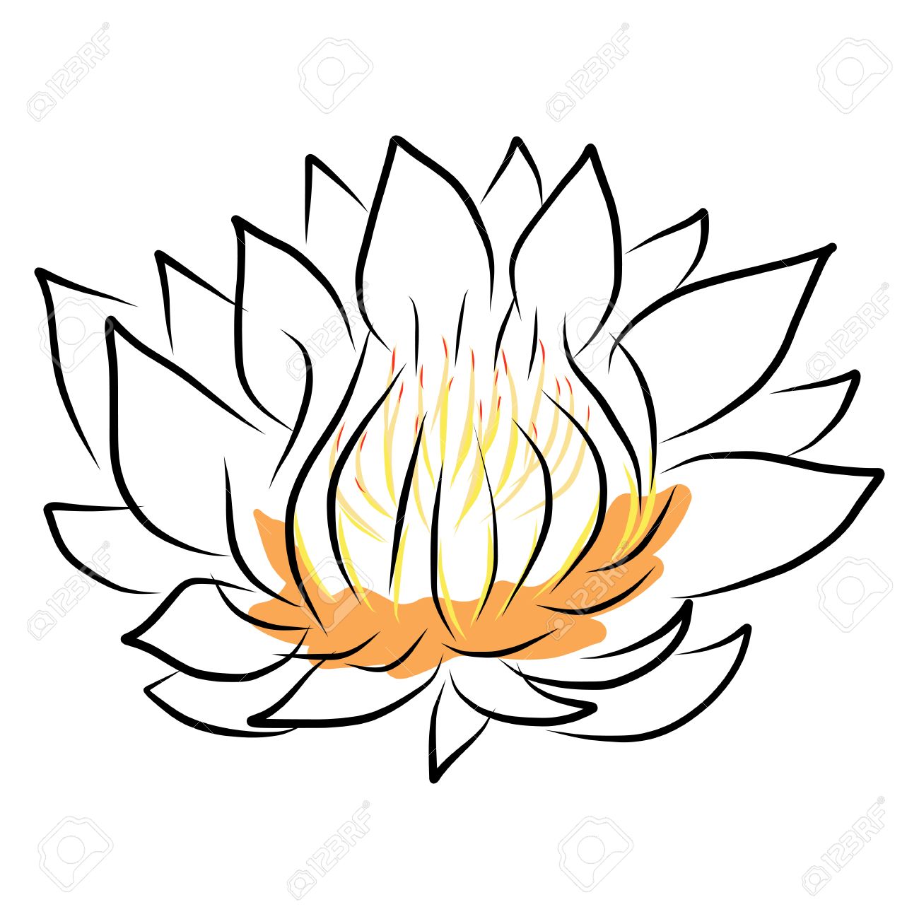 1300x1300 Hand Drawing Water Lily, Lotus, Flower. Vector Eps10 Royalty Free