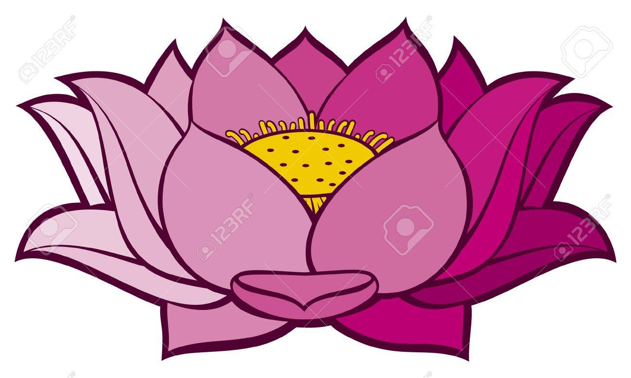 1300x779 Lotus Flower Drawing Images Image Collections