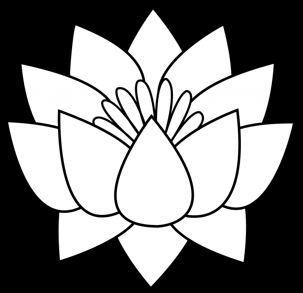1024x991 Lotus Flower Line Drawing Lotus Flower Line Drawing Clipart Best