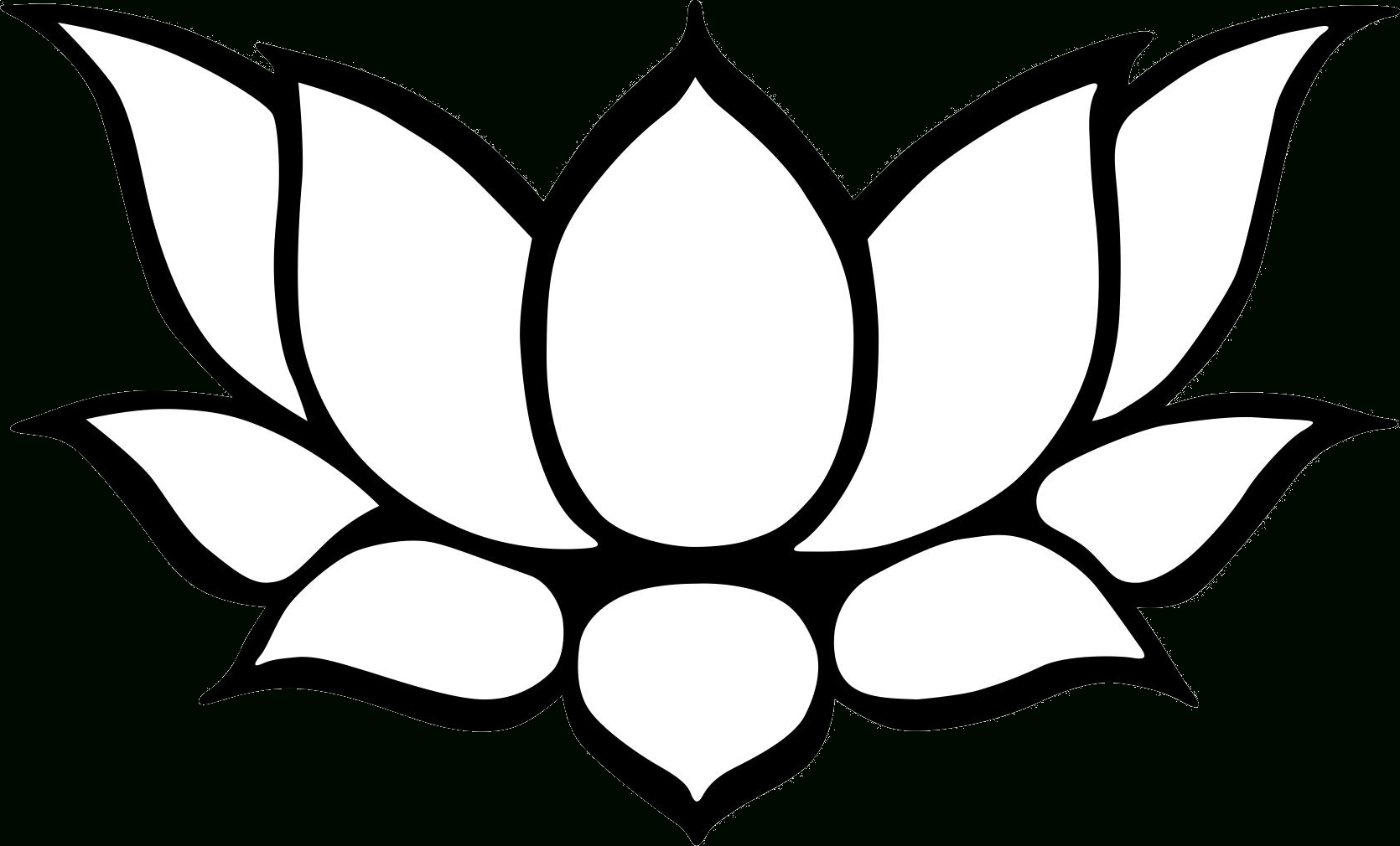 1670x1010 Pencil Line Picture Lotus Flower Lotus Flower Drawing Best