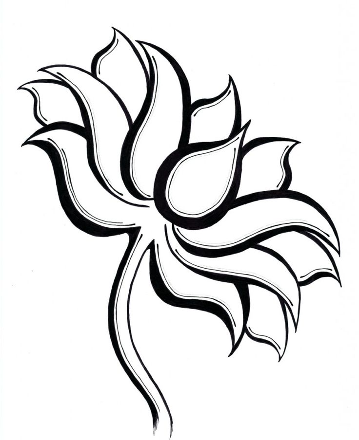 736x904 Pictures Lotus Flower Line Drawing,