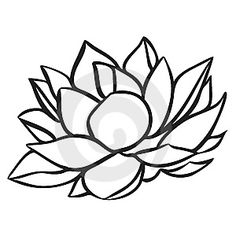 236x236 Lotus (1670x1010) Jcxdeejce