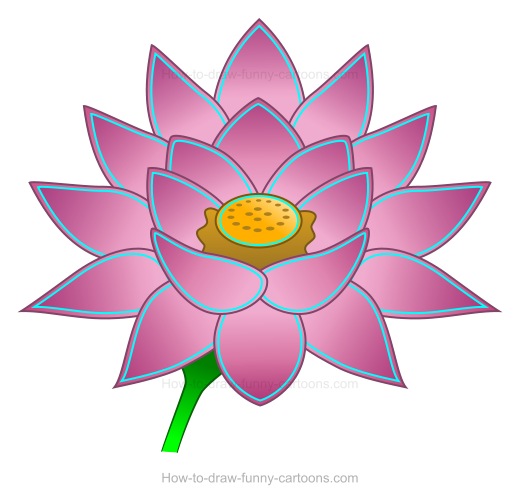 520x504 To Create A Lotus Flower Drawing