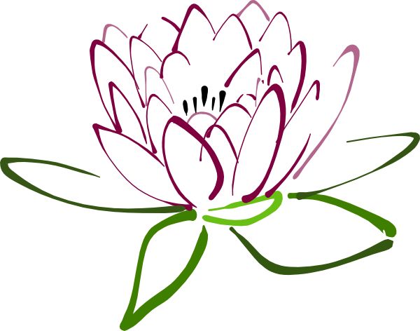 600x472 Lotus Clipart Calligraphy