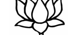 272x125 Free To Use Amp Public Domain Lotus Flower Clip Art On Clipart Lotus