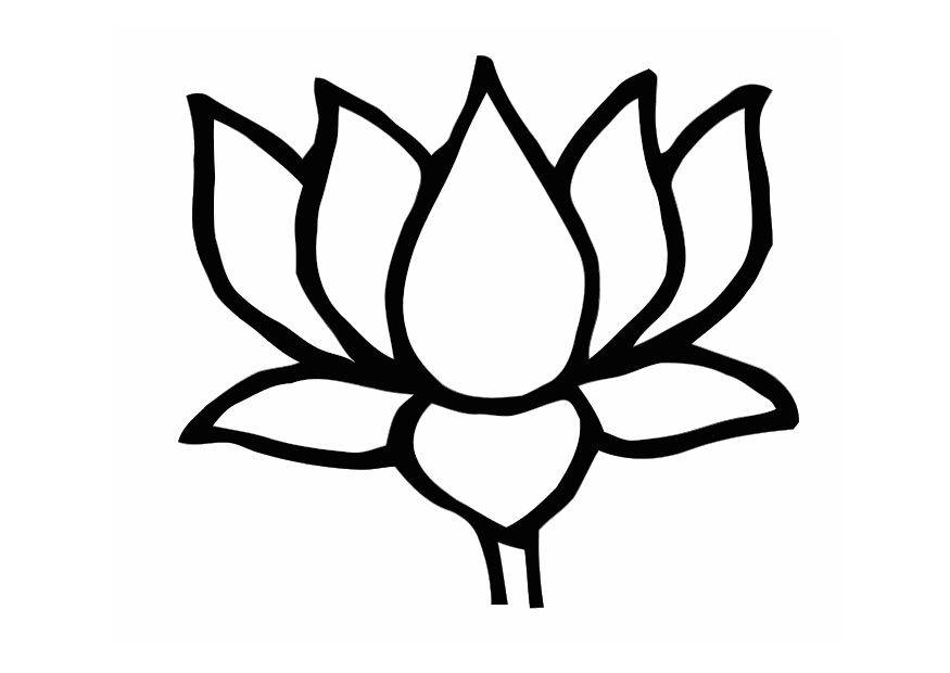 875x620 Drawn Line Art Lotus Flower