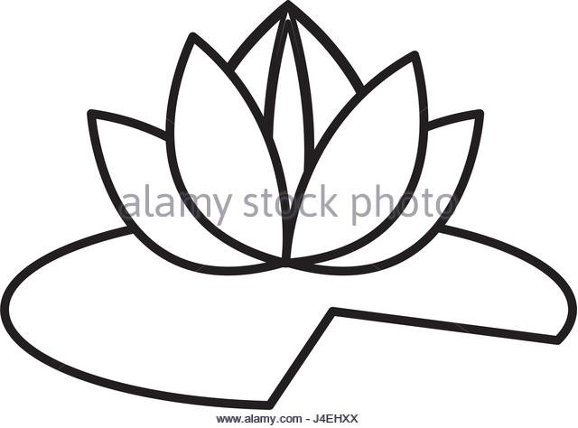 640x474 Lotus Flower Design Stock Photos Amp Lotus Flower Design Stock