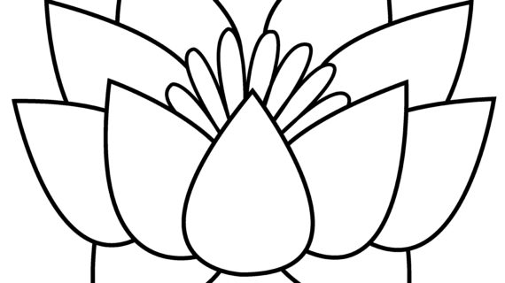 570x320 Lotus Flower Drawing Black White Lotus Line Art Arts