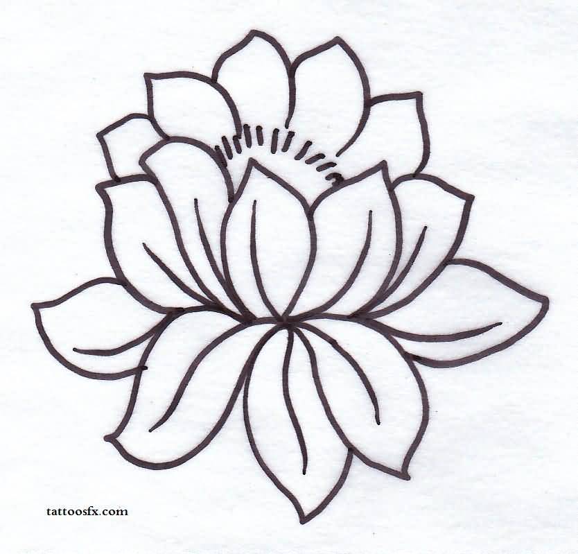 834x799 Outline Lotus Tattoos Collection