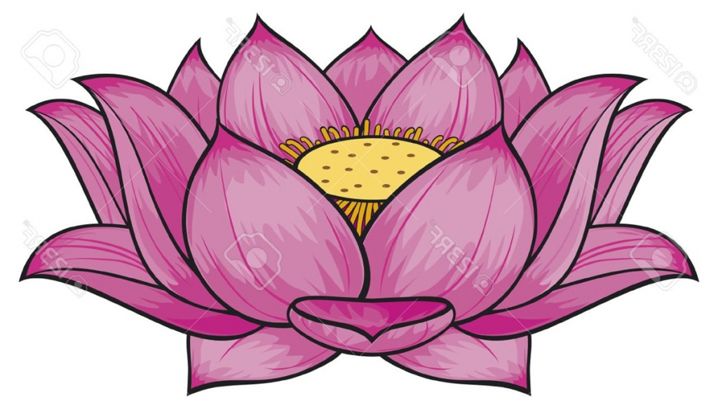 1024x584 Tag Lotus Flower Drawing Outline