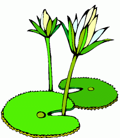 245x280 Regular Clip Completely Free