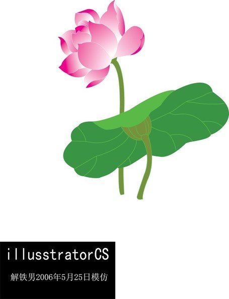 455x594 Lotus Leaf Clip Art, Vector Lotus Leaf