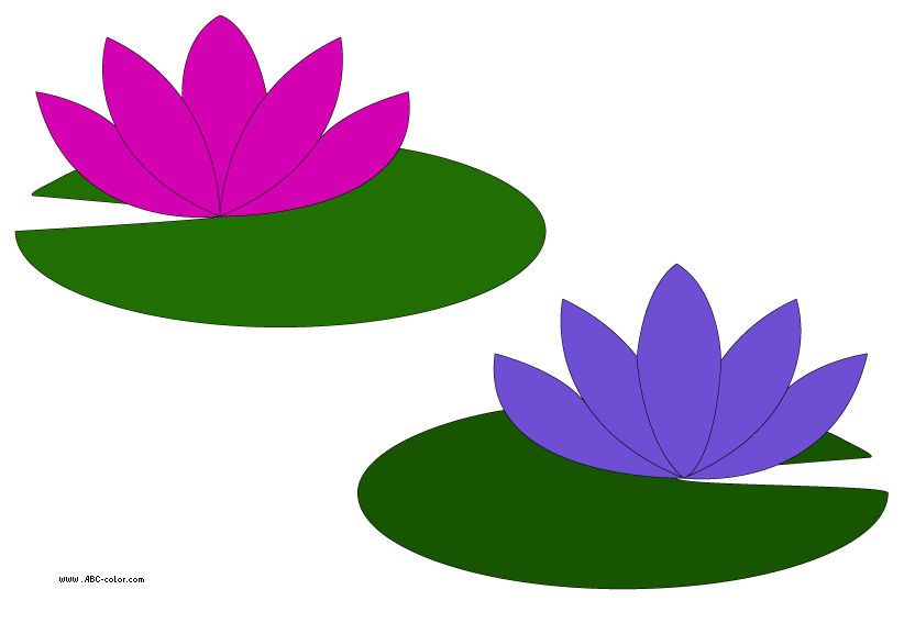 822x567 Lotus Clipart Lily Pad Flower