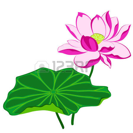 450x450 Water Lily Clipart Lotus Leaf