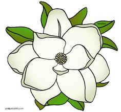 236x219 Magnolia Flower Clip Art Louisiana State Flower