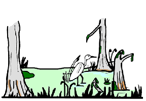 288x198 Swamp Clipart Louisiana