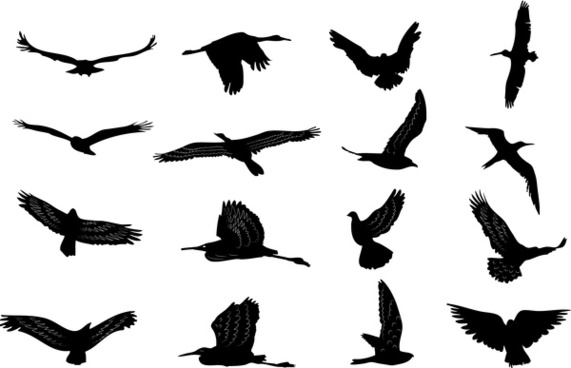 571x368 Love Birds Silhouette Free Vector Download (11,524 Free Vector