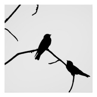 324x324 Bird Silhouette Posters Zazzle