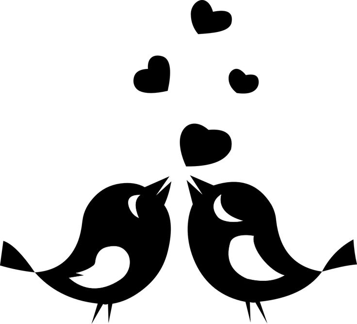 Love Birds Clipart